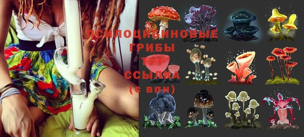 скорость Бугульма