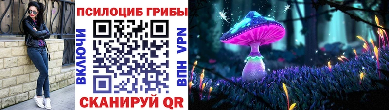 мега зеркало  купить  сайты  Качканар  Галлюциногенные грибы мицелий 